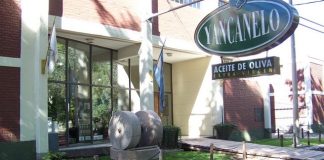 El aceite Yancanelo, ganador de la Gran Medalla de Oro en el Concurso Cuyoliva 2024 yancanelo