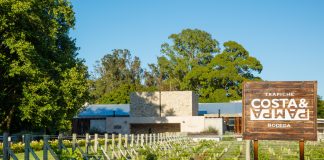 Bodega Trapiche Costa & Pampa: Una década de innovación y calidad en la viticultura Atlántica Bodega Costa & Pampa