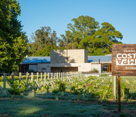 Bodega Trapiche Costa & Pampa: Una década de innovación y calidad en la viticultura Atlántica Bodega Costa & Pampa