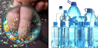 Plásticos, microplásticos y nanoplásticos siguen contaminando el ambiente y a nuestros organismos plasticos