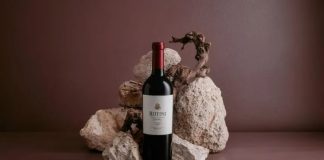 Un Malbec argentino fue destacado entre los mejores vinos del mundo