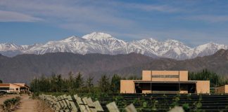 Supraterra, una trilogía de Malbec excepcionales de la mano de Finca Bandini supraterra vino