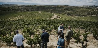 Viñas Feroces 2023: el primer vino español de Bodega Ribera del Cuarzo viñas feroces
