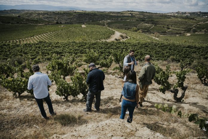 viñas feroces