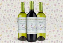 Llega Fin Del Mundo Low Alcohol, la primera línea de vinos naturalmente bajos en alcohol de la Patagonia fin del mundo low alcohol