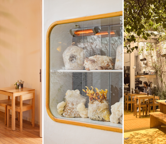 Funga: el restaurante de Colegiales en el que los hongos son protagonistas funga