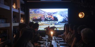 Bocabajo, el restaurante de experiencias que propone un viaje sensorial único en la Argentina bocabajo
