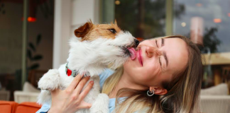 Sociedades pet-friendly: ¿las mascotas están preparadas?