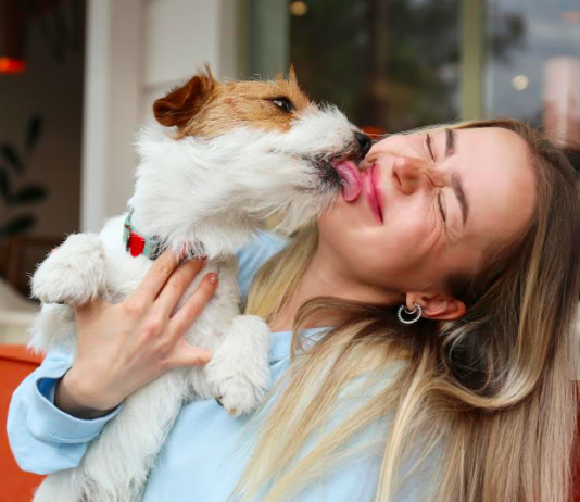 Sociedades pet-friendly: ¿las mascotas están preparadas?