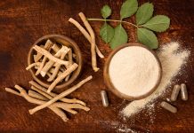 Ashwagandha, una aliada natural para el bienestar en la menopausia ashwaganda