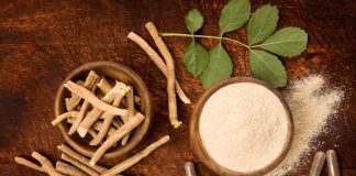 Ashwagandha, una aliada natural para el bienestar en la menopausia ashwaganda