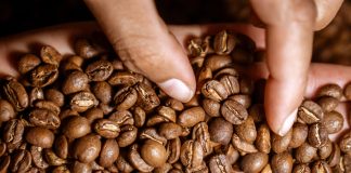 Fuego Tostadores: el proyecto argentino que convierte al café de especialidad en un estándar cotidiano fuego tostadores
