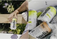 Llega Amelia Ice Tea: el primer té frío en lata elaborado en Argentina amelia ice tea