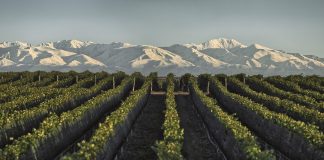 Bodega Doña Paula obtiene una nueva certificación internacional doña paula