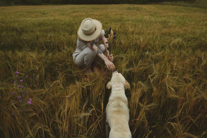 mujeres en el campo