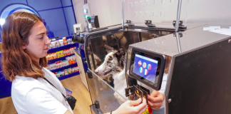 Llega a Argentina tecnología europea para el sector Pet Care pet care