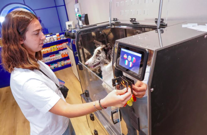 pet care