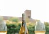 Terrazas de los Andes presenta Origen Gualtallary Chardonnay, el primer blanco de la línea Origen Gualtallary Chardonnay