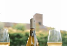 Terrazas de los Andes presenta Origen Gualtallary Chardonnay, el primer blanco de la línea Origen Gualtallary Chardonnay