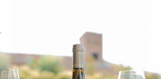 Terrazas de los Andes presenta Origen Gualtallary Chardonnay, el primer blanco de la línea Origen Gualtallary Chardonnay