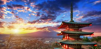 Récord de argentinos en Japón: del viaje imposible al destino que hoy todos quieren hacer argentinos en japon