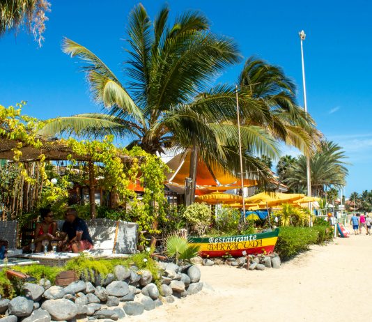 El efecto fútbol: las búsquedas de Cabo Verde crecieron casi un 750% entre los argentinos cabo verde