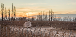 Un Malbec argentino obtuvo 100 puntos de James Suckling y vuelve a ubicarse entre los mejores del mundo malbec argentino gravascal