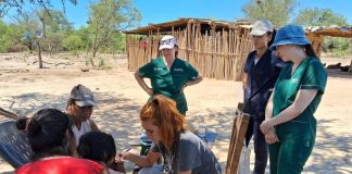 Día del Médico Rural: el compromiso de cuidar más allá del consultorio médico rural