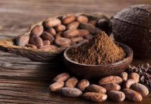 ¿Todos los chocolates son iguales? La diferencia entre el cacao real y los productos «simil chocolate» cacao real