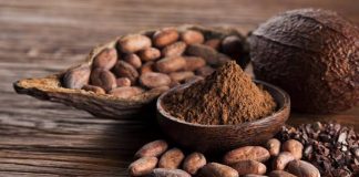 ¿Todos los chocolates son iguales? La diferencia entre el cacao real y los productos «simil chocolate» cacao real