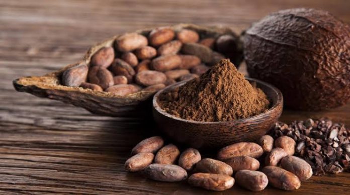 cacao real